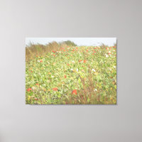 Photographie d'art mural de champ de citrouilles a