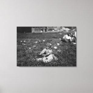 Toile Photographie de canneberges de cueillette de jeune