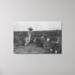 Toile Photographie de coton de cueillette de garçon