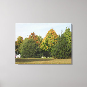 Toile Photographie de feuilles d'automne jolies de l'art
