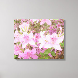 Toile Photographie de gros plan d'azalée en fleurs