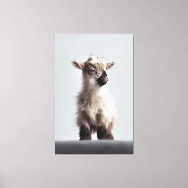 Toile Photographie de portrait de chèvre de bébé réconfo (Recto)