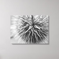 Photographie noir et blanc floral