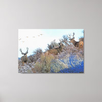 Photographie photoshop