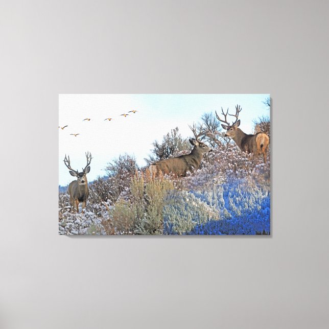 Toile Photographie photoshop (Recto)