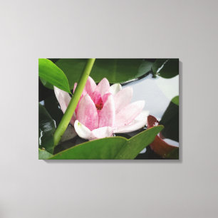Toile Photographie rose Lotus Imprimer