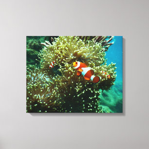 Toile Photos aquatiques nautiques Photographie d'animaux