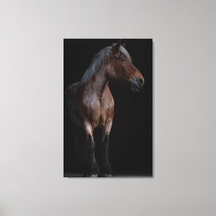 Toile Photos de chevaux