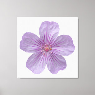 Toile Pineywoods Geranium #1