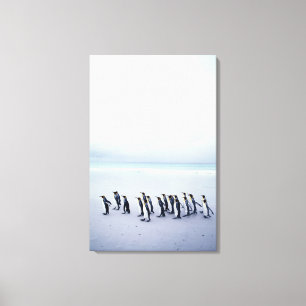 Toile Pingouins de roi (patagonicus d'Aptenodytes)