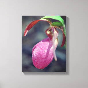 Toile Pink Lady Slipper Orchid Raindrop
