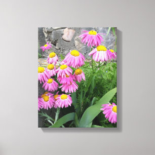 Toile Pink Peint marguerite Fleurs Nature photographie