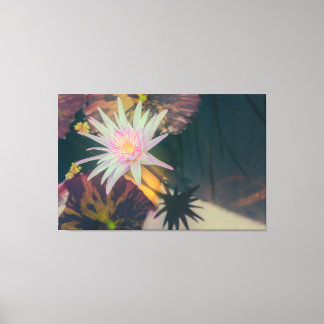 Toile Pink Water Lily in the Pond