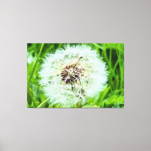Toile Pissenlit sauvage de Roumanie photographié en macr