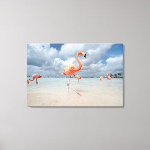 Toile Plage Aruba de Flamants roses