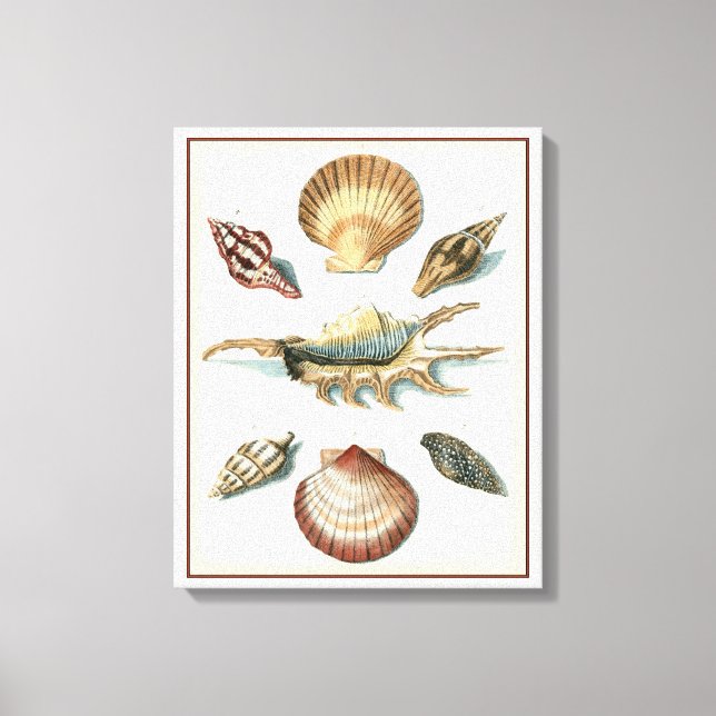 Toile Plage de Shell soignée (Recto)