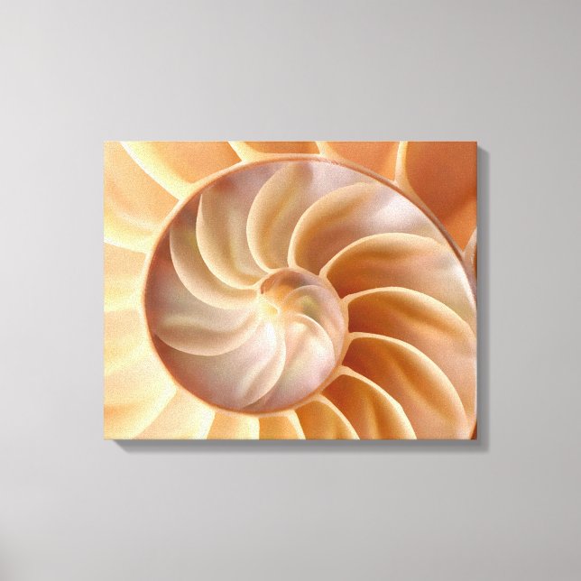 Toile Plage Nautilus Shell Art Canvas Imprimer (Recto)