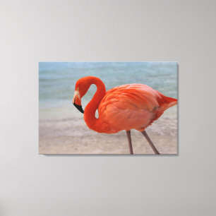 Toile Plages tropicales Flamant rose des Caraïbes, Aru