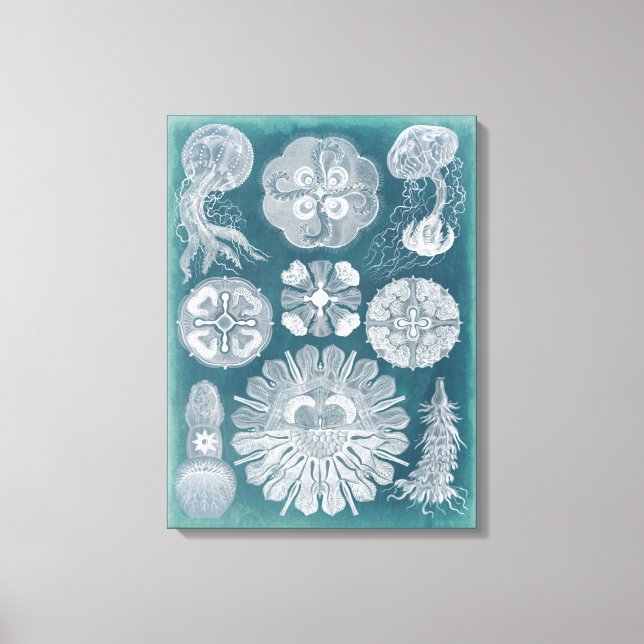Toile Plan directeur de la vie marine IV (Recto)