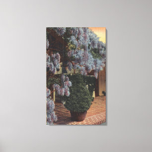 Toile Plante CaliforniaWisteria en Bloom