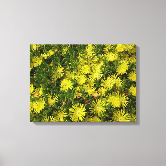 Toile Plante de glace dorée Fleurs jaunes (Recto)