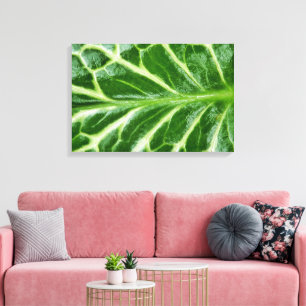 Toile Plante de pinte de cacao