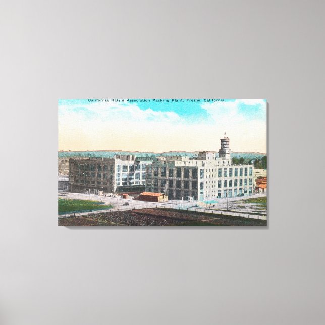 Toile PLANTE d'emballage de l'association CA Raisin (Recto)