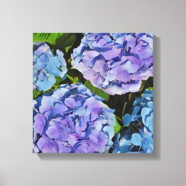 Toile Plante Purple Hydrangea (Recto)