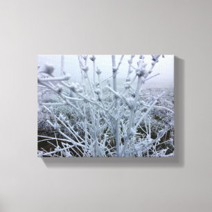 Toile Plantes givrées Paysage d'hiver