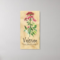 Plantes magiques Valérian 21,29' x 42,05''