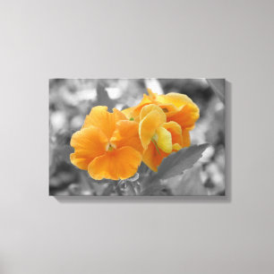 Toile Plongée d'orange