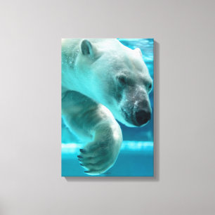 Toile Plongeon d'ours polaire dans l'eau claire bleue (P