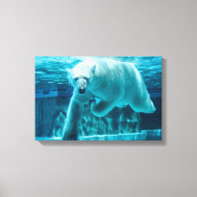 Plongeon d'ours polaire dans l'eau claire bleue (p