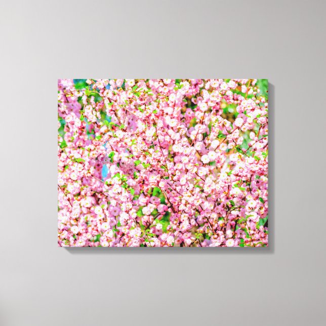 Toile Plum à fleurs (Recto)