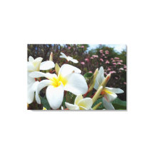 Toile Plumeria Imprimer 1
