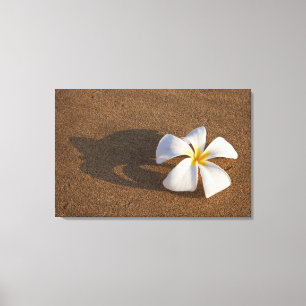 Toile Plumeria sur une plage de sable, Maui, Hawaï, État