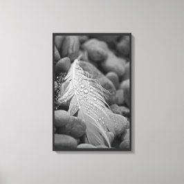 Toile Plumes de cygne noir et blanc simples gouttes d'ea