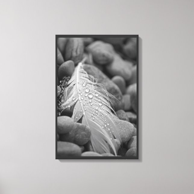 Toile Plumes de cygne noir et blanc simples gouttes d'ea (Recto)