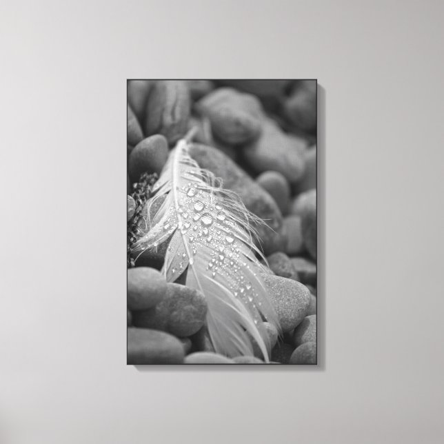 Toile Plumes de cygne noir et blanc simples gouttes d'ea (Recto)