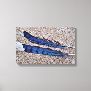 Toile Plumes d'oiseau de geai bleu