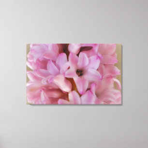 Toile Plutôt rose Hyacinth Spring Flower Canvas Art
