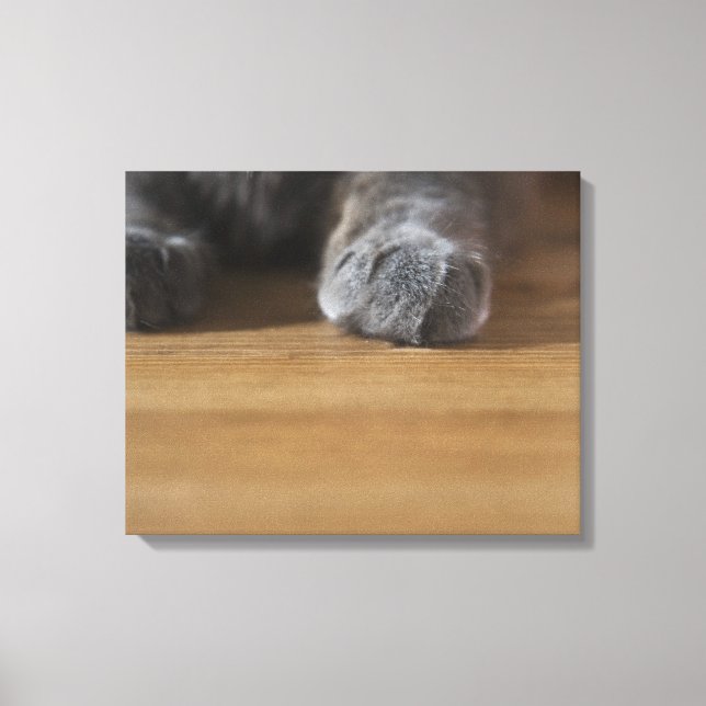 Toile Poches de chat (Recto)