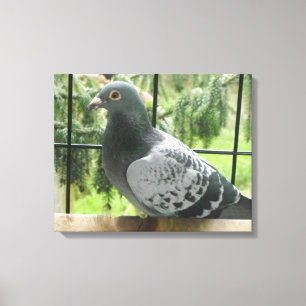 Toile Poing Pigeon
