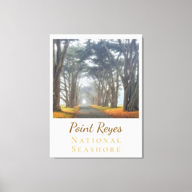 Toile Point Reyes (Recto)