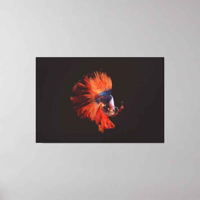 Toile Poisson Betta (Recto)