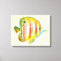 Poisson coloré