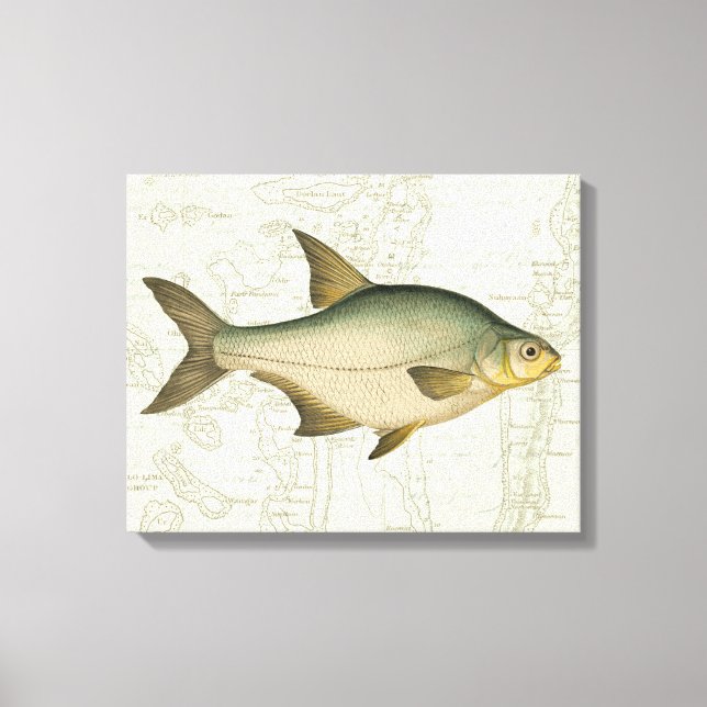 Toile Poisson d'eau douce sur la carte (Recto)