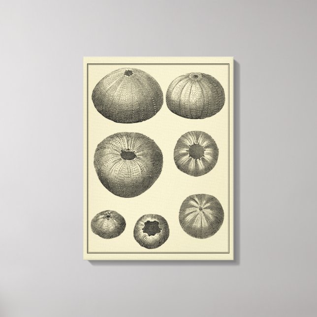 Toile Poisson noir et blanc (Recto)