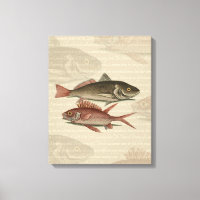 Poisson Perche rouge Art pêcheur