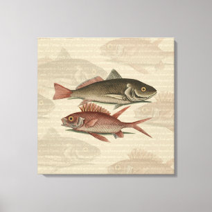 Toile Poisson Perche rouge Art pêcheur